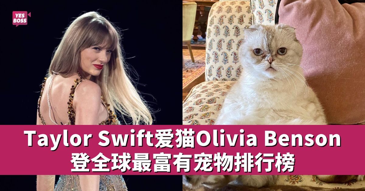 楽天市場】ポーチ 小物入れかわいい 可愛い ブランド ねこ 猫